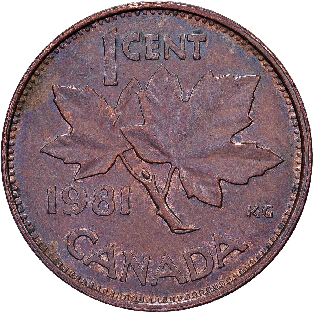 Canadá, Elizabeth II, Cent, 1981, Royal Canadian Mint, Bronce, MBC, KM:127