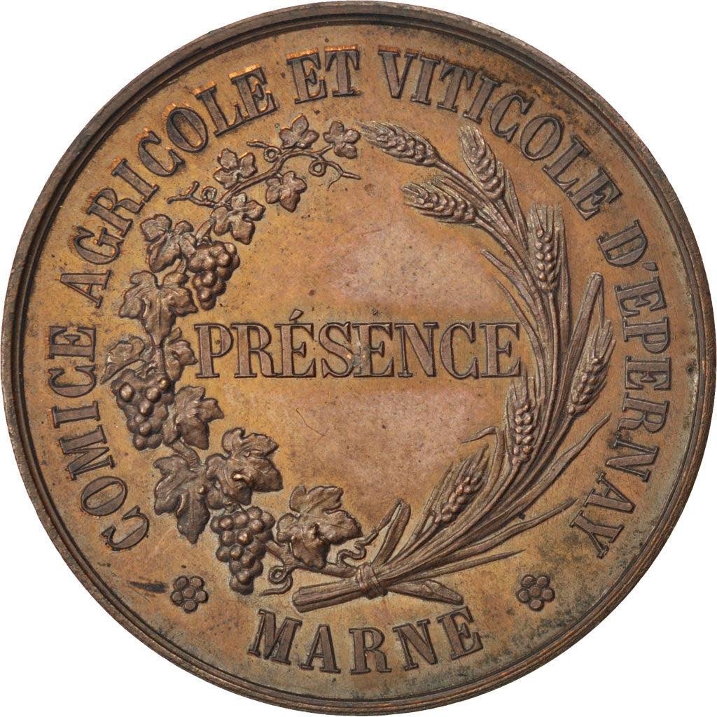 Francia, medaglia, French Third Republic, Rame, SPL-