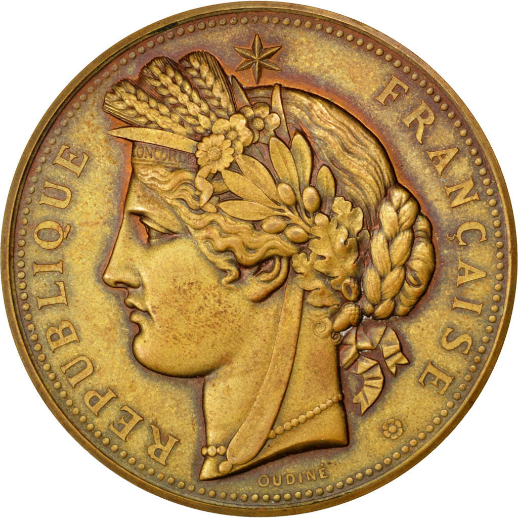 Frankreich, Medaille, French Third Republic, 1889, Bronze, Oudiné, SS+