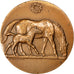 Frankreich, Medaille, French Fifth Republic, Bronze, SS+