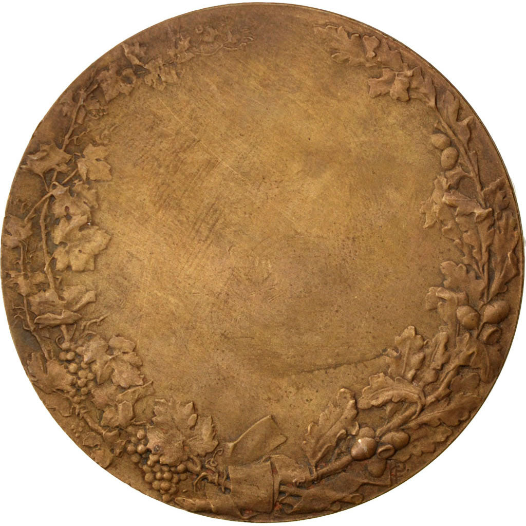 Frankreich, Medaille, French Third Republic, Bronze, Pillet, SS+