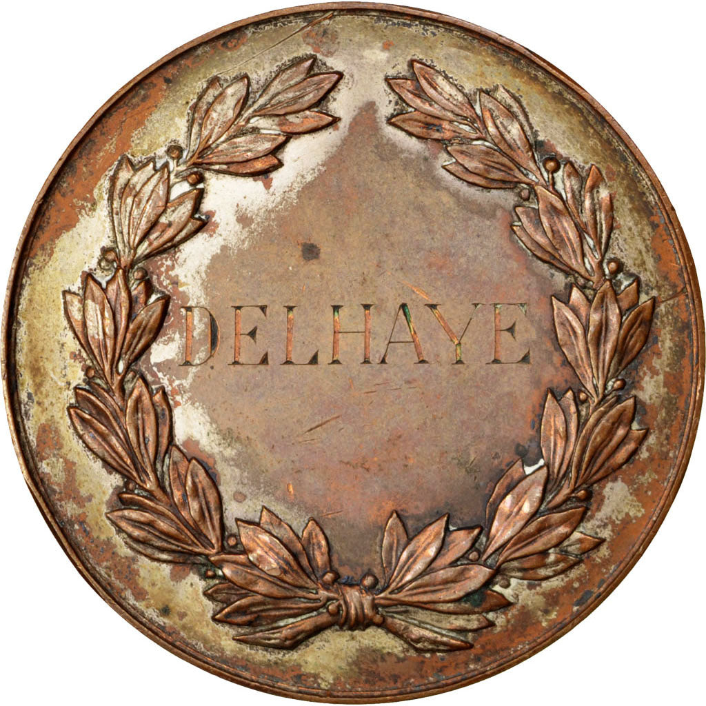 Frankreich, Medaille, French Third Republic, Bronze, SS+