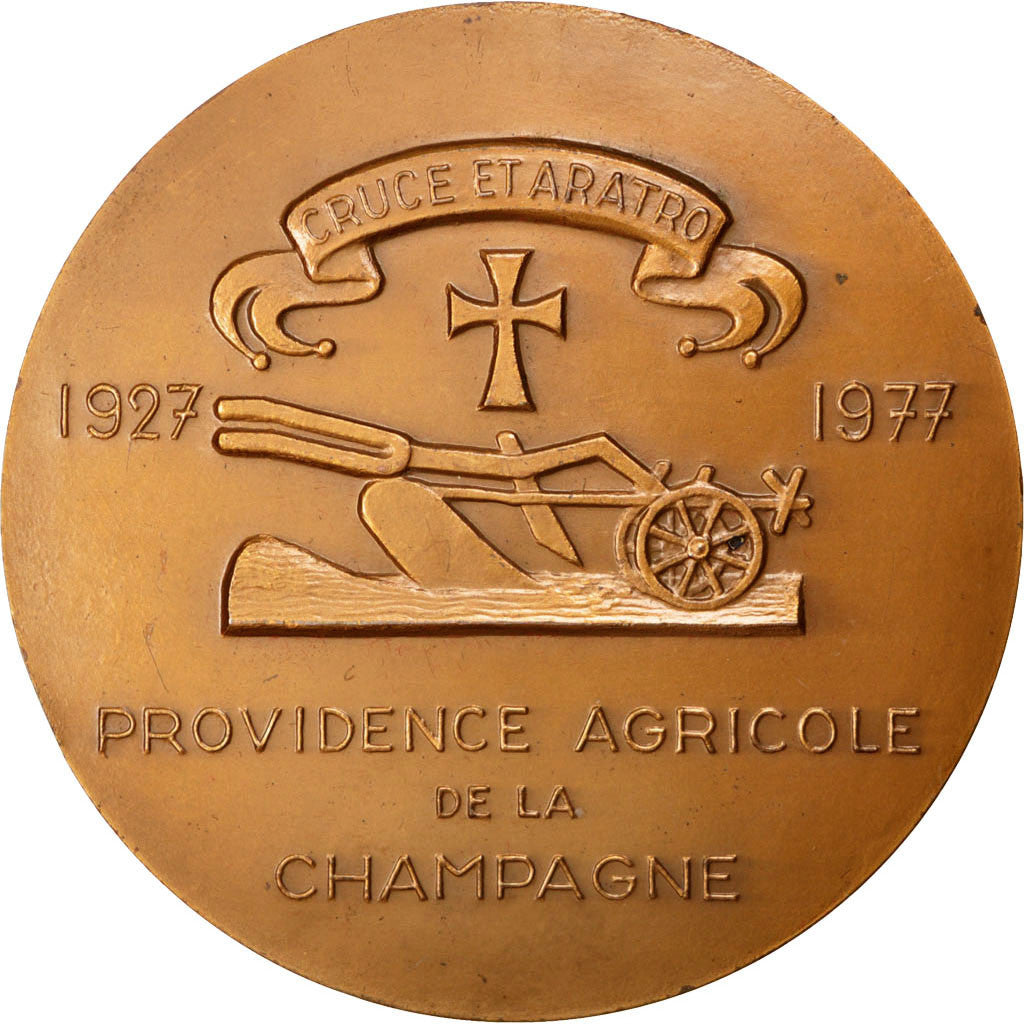 Frankreich, Medaille, French Fifth Republic, 1977, Bronze, Leognany, VZ
