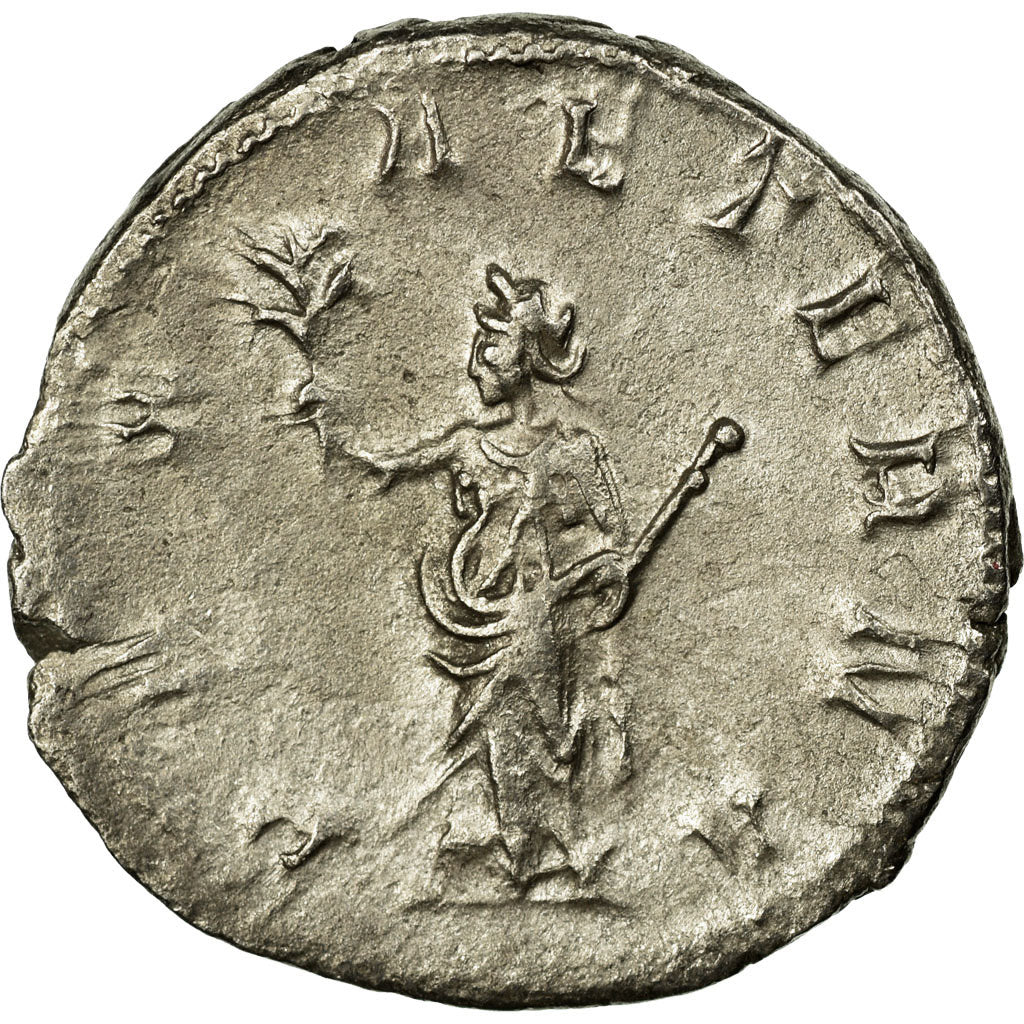 Trebonianus Gallus, Antoninianus, Biglione, BB+, Cohen:76