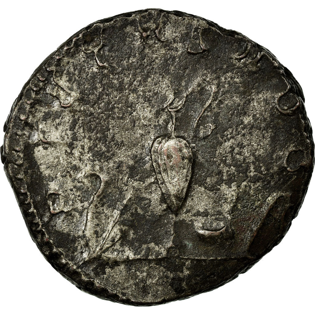 Saloninus, Antoninianus, Rome, Billon, EF(40-45)