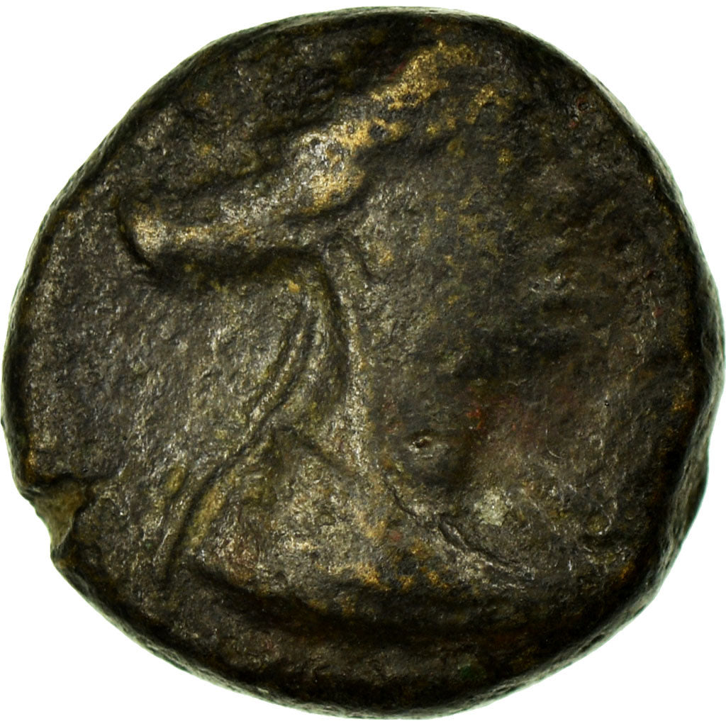 Phénicie, Tyche, Chalque Æ, Arados, Cuivre, TB+
