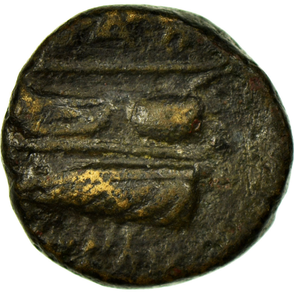 Phénicie, Tyche, Chalque Æ, Arados, Cuivre, TB+