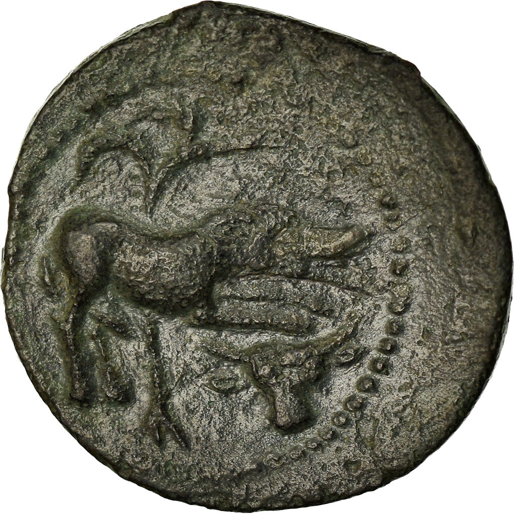 Pictons, Bronze CONTOVTOS, 2nd-1st century BC, Bronze, TTB, Delestrée:3721