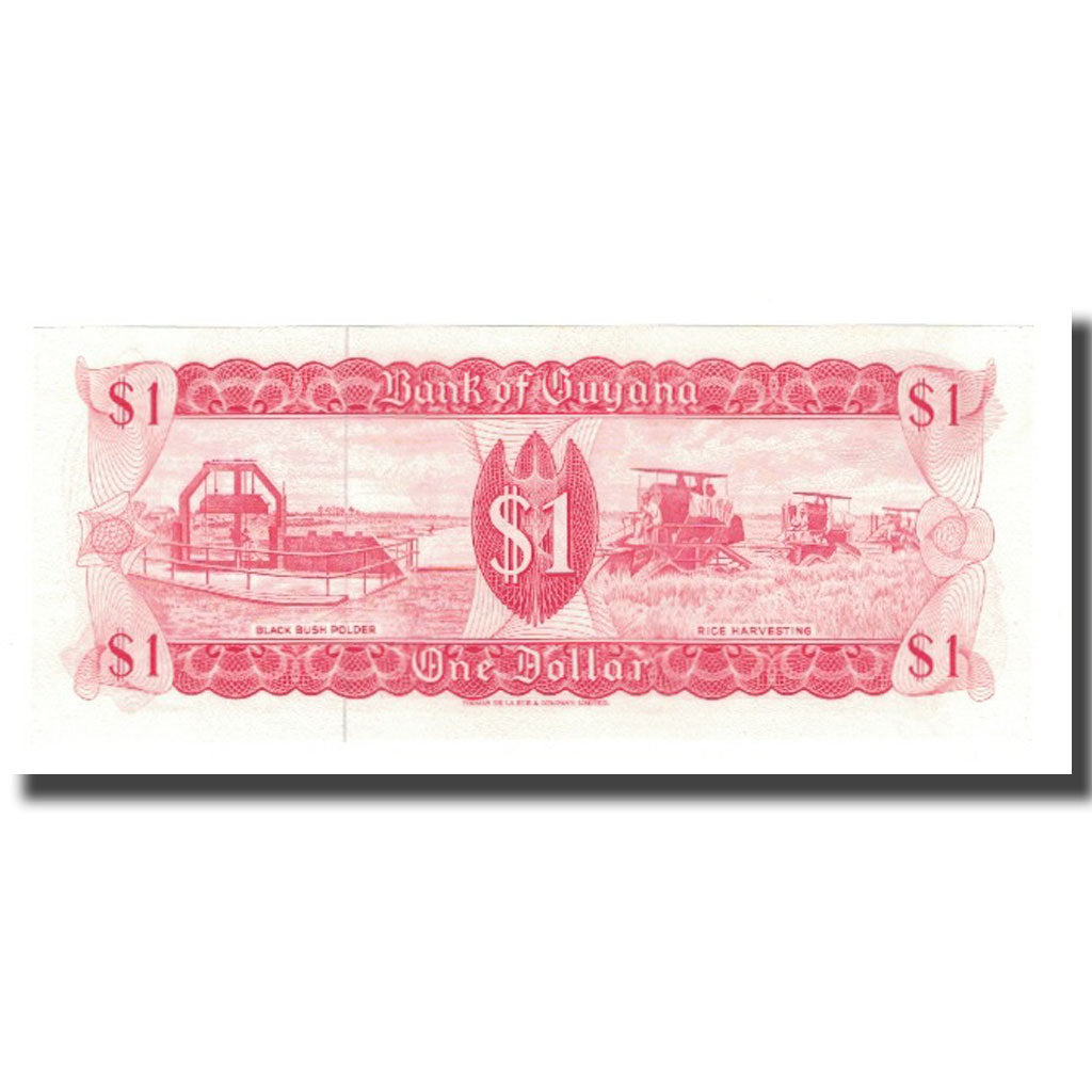 Banknote, Guyana, 1 Dollar, Undated (1966-92), KM:21d, UNC(65-70)