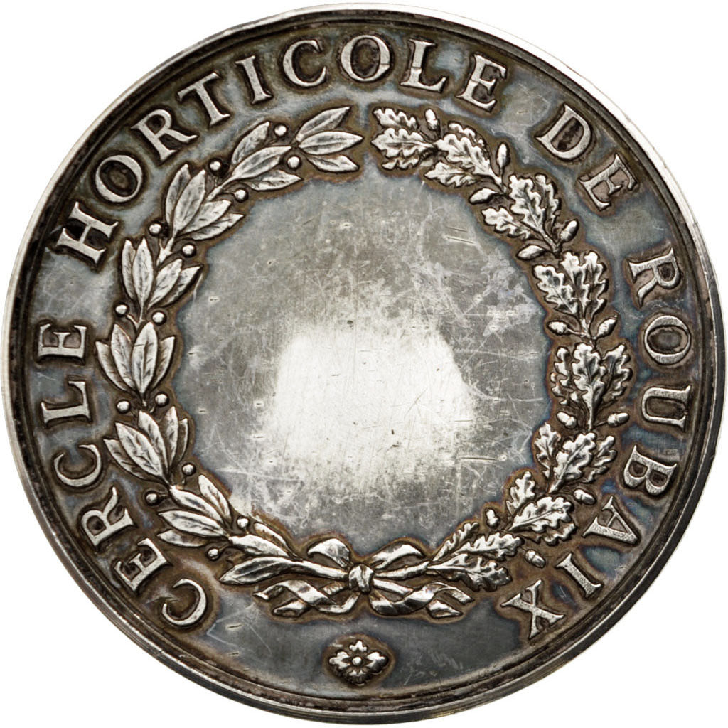 France, Medal, French Third Republic, Flora, AU(55-58), Silver