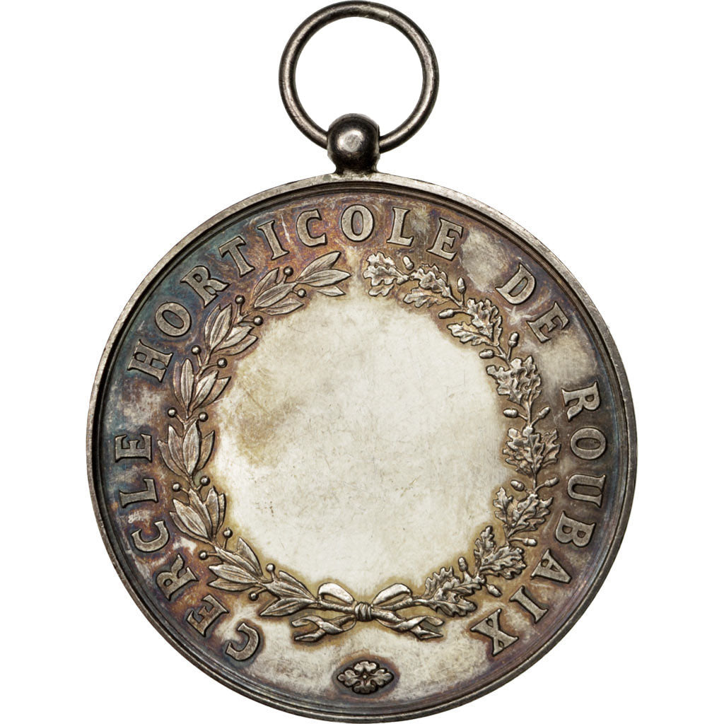 France, Medal, French Third Republic, Flora, AU(55-58), Silver