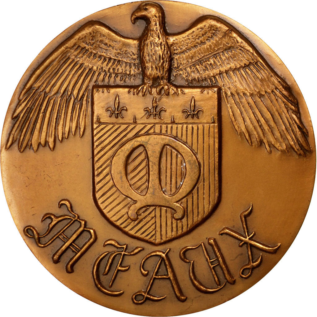 Frankreich, Medal, French Fifth Republic, History, VZ+, Bronze