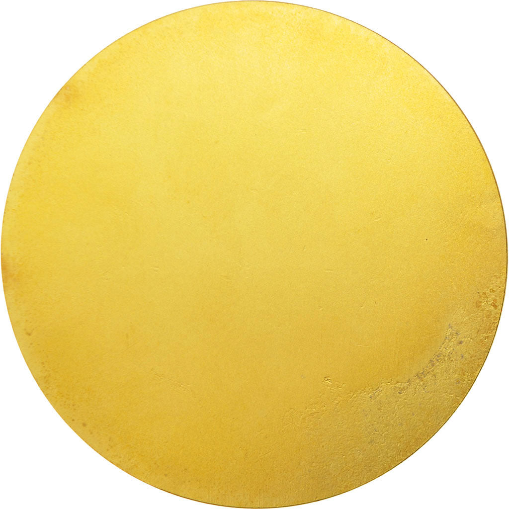 France, Medal, French Fifth Republic, Politics, Society, War, SUP, Bronze