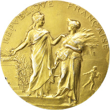 France, Medal, French Third Republic, Business & industry, Dubois.A, AU(50-53)