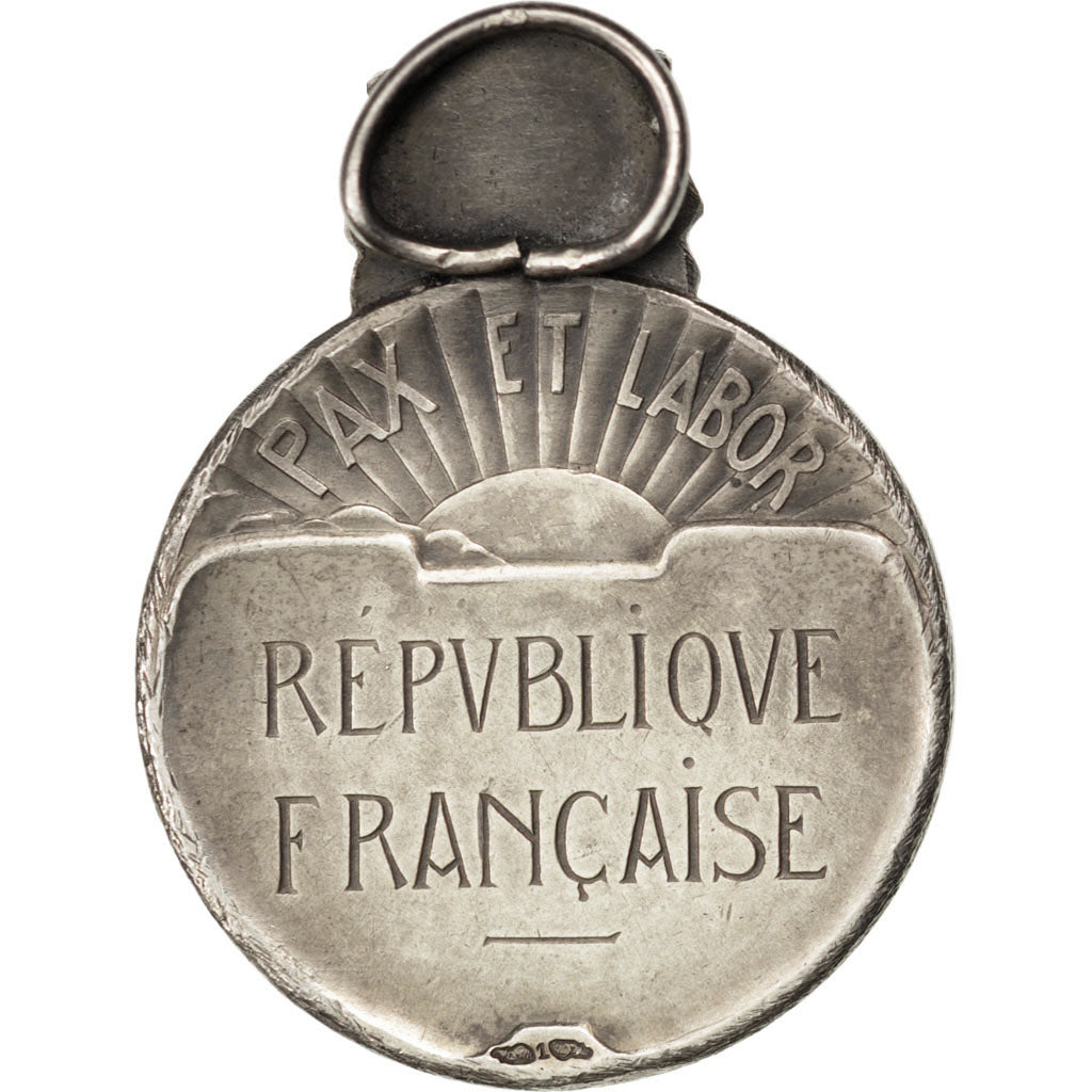 Frankreich, Medal, French Third Republic, Politics, Society, War, VZ, Silber