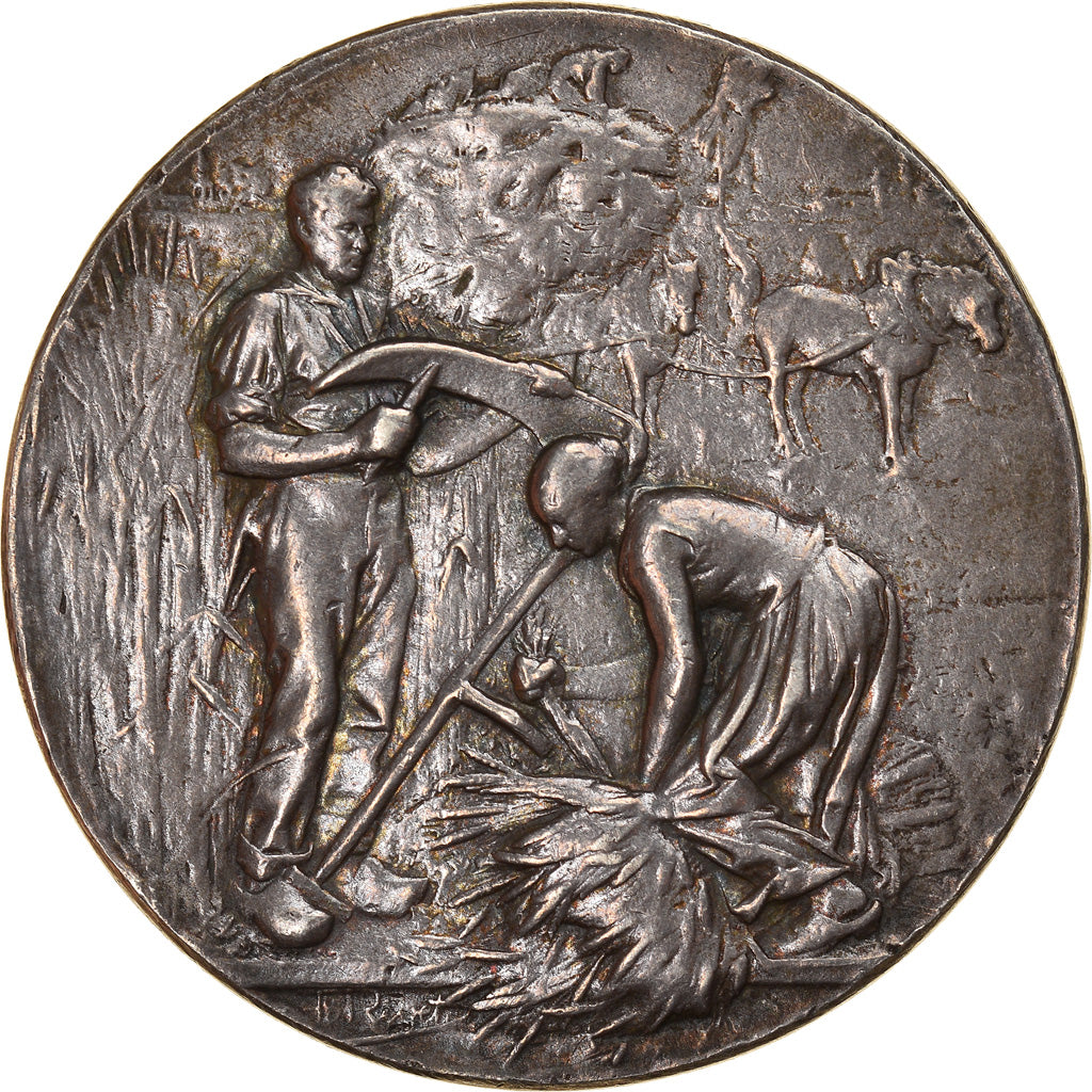 France, Medal, Comice Agricole de Saint-Quentin, Rivet, AU(55-58), Silver