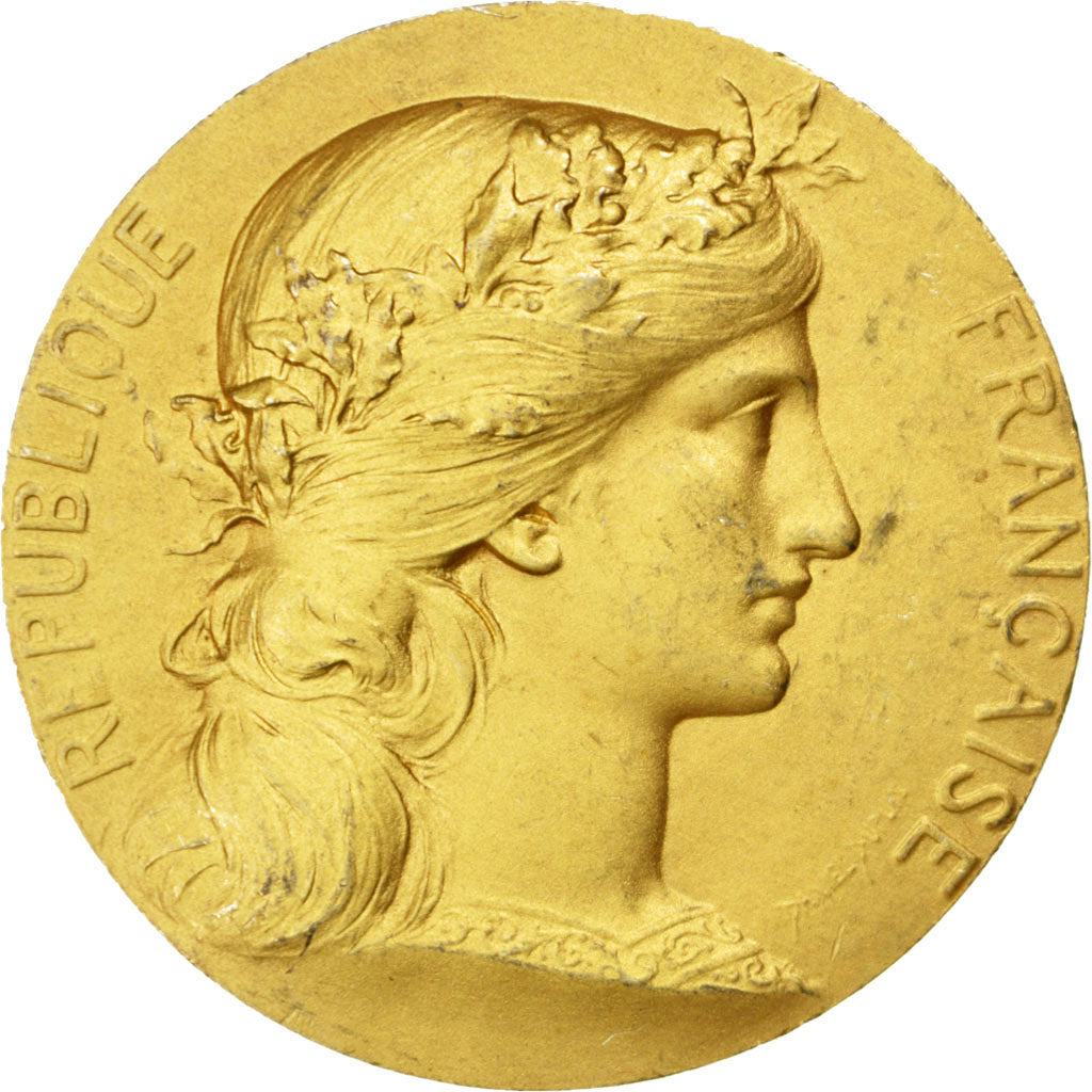 Francja, Medal, Trzecia Republika Francuska, Dupuis.D, AU(50-53), Vermeil