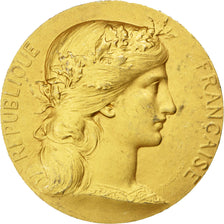 Francja, Medal, Trzecia Republika Francuska, Dupuis.D, AU(50-53), Vermeil