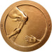 Frankreich, Medal, French Fifth Republic, Politics, Society, War, VZ, Bronze