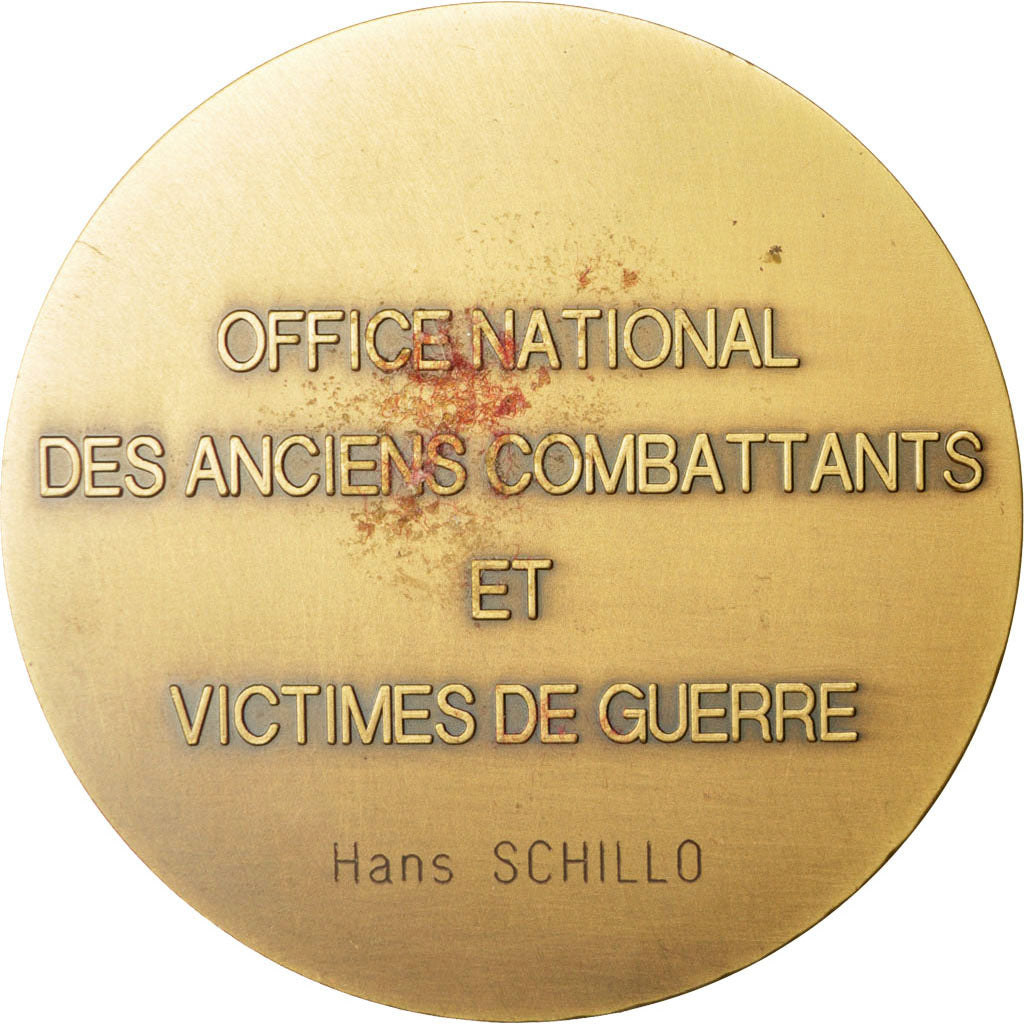 Frankreich, Medal, French Fifth Republic, Politics, Society, War, SS+, Bronze