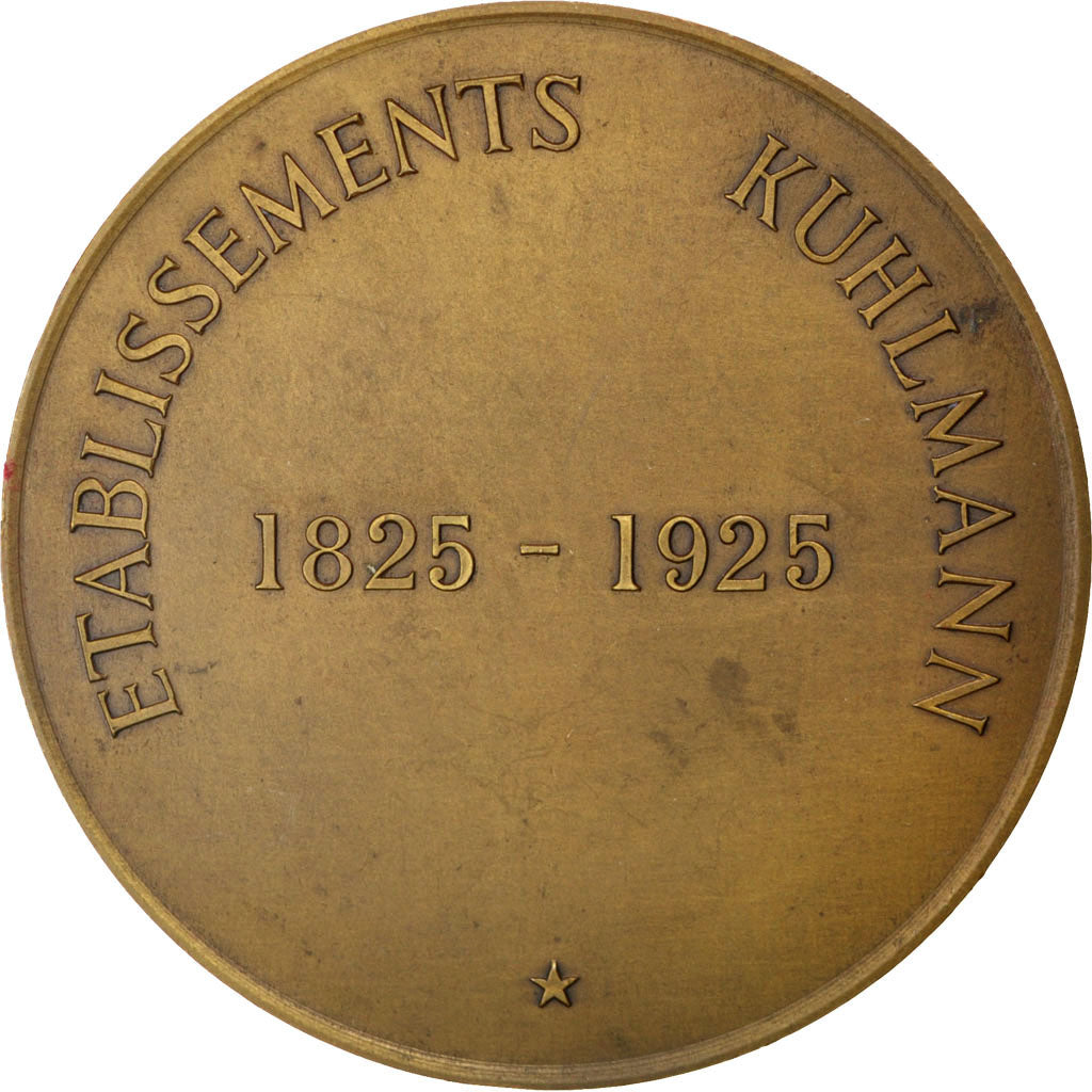 Frankreich, Medal, French Third Republic, Politics, Society, War, SS+, Bronze