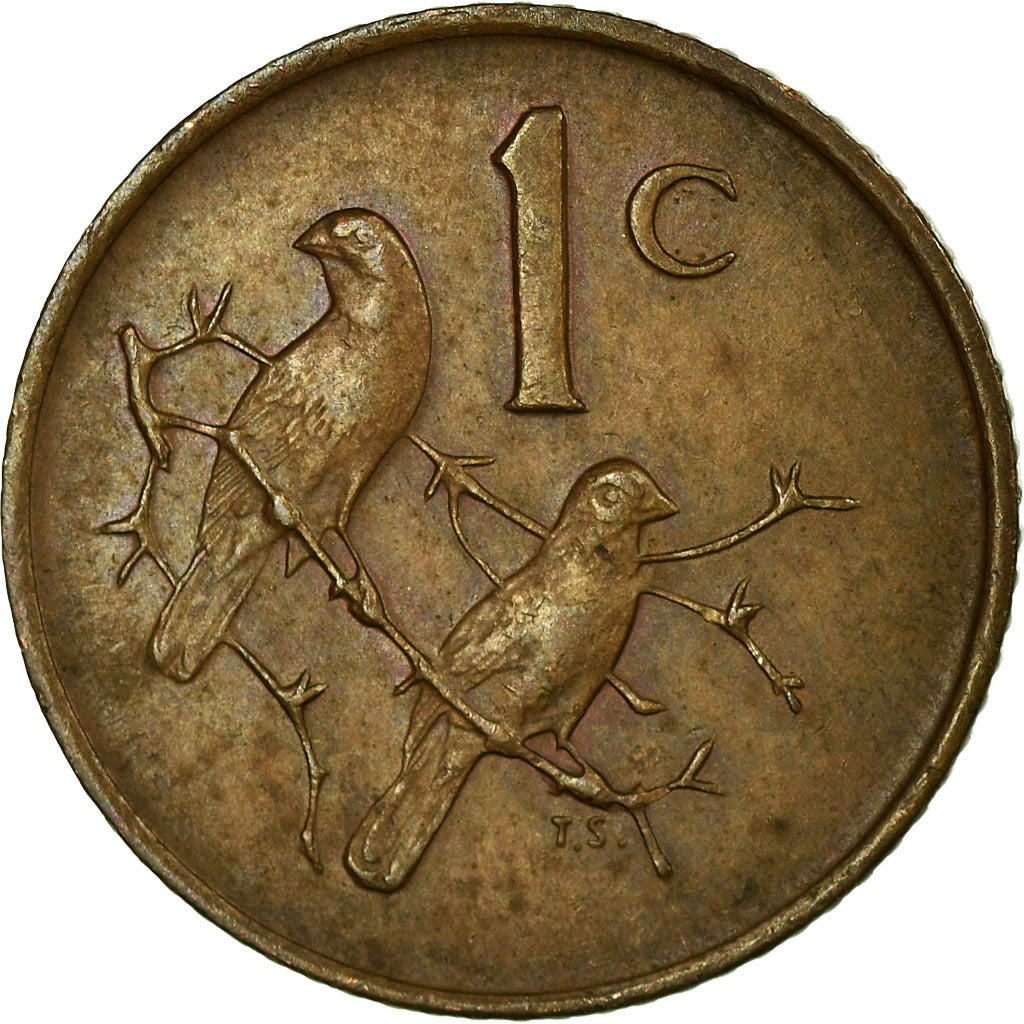 Münze, Südafrika, Cent, 1973, S+, Bronze, KM:82