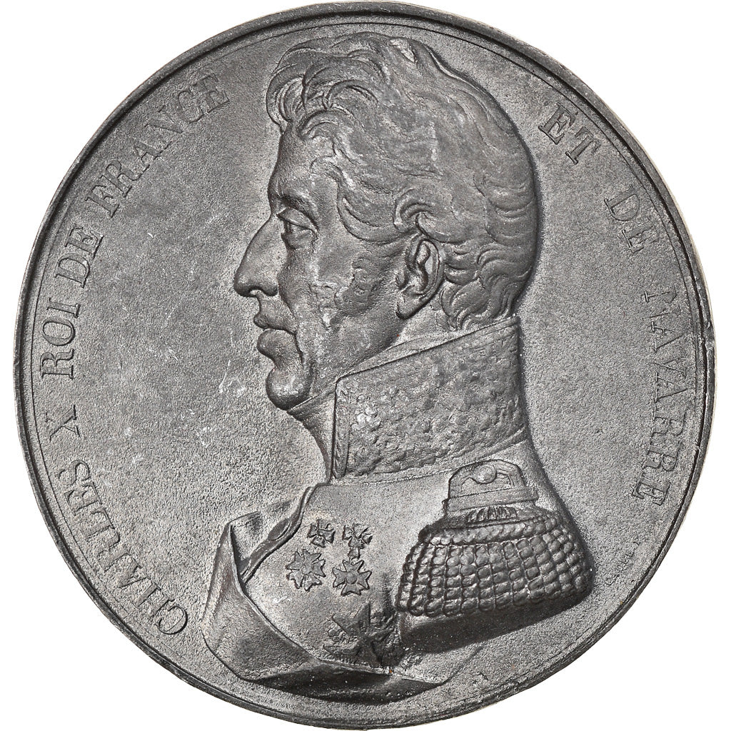 Frankrijk, Medaille, Les Rois de France, Charles X, History, Caqué, ZF+, Tin
