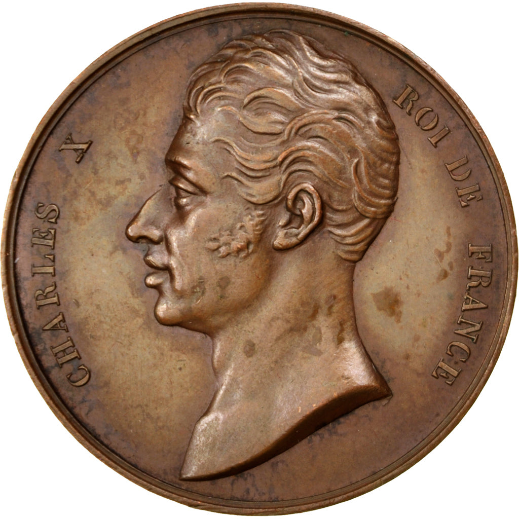 Frankrijk, Medal, Charles X, Politics, Society, War, PR, Bronze