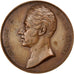 Frankrijk, Medal, Charles X, Politics, Society, War, PR, Bronze
