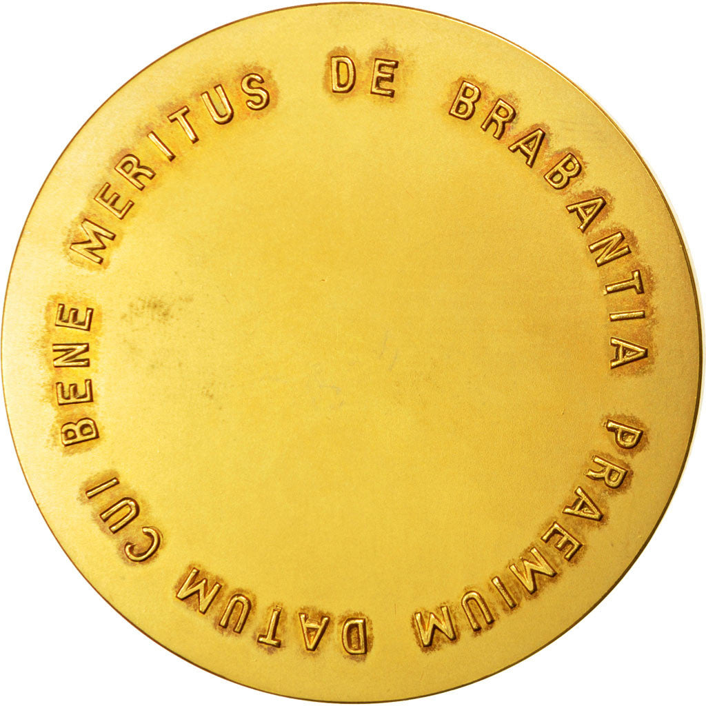 Belgien, Medal, Politics, Society, War, VZ+, Bronze
