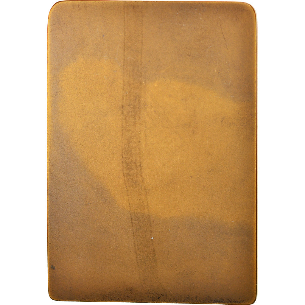 France, Médaille, Max Bruchet, Archiviste, Haute-Savoie, History, Blaise, SPL