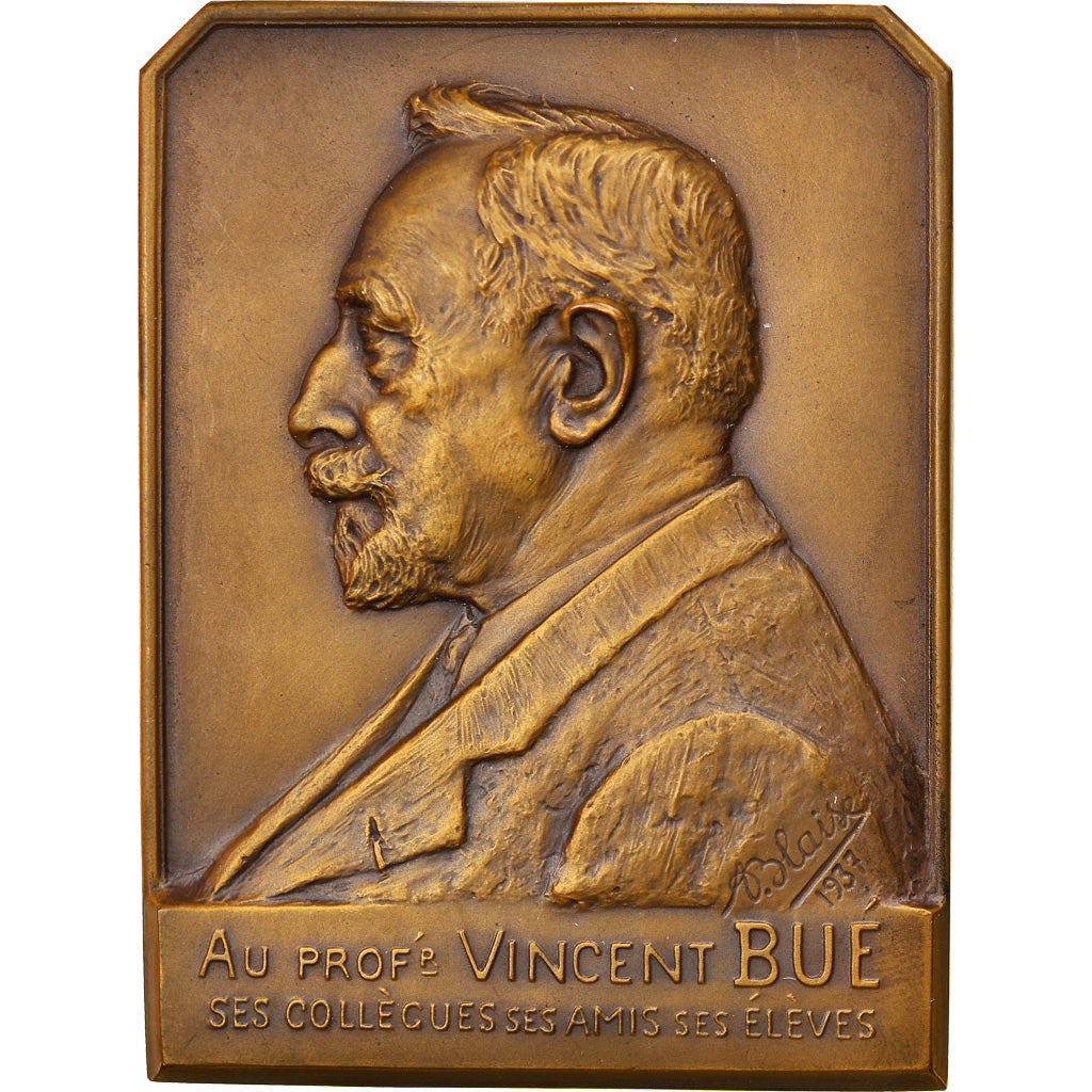 France, Médaille, Médecine, Professeur Vincent Bué, 1937, Blaise, SPL, Bronze