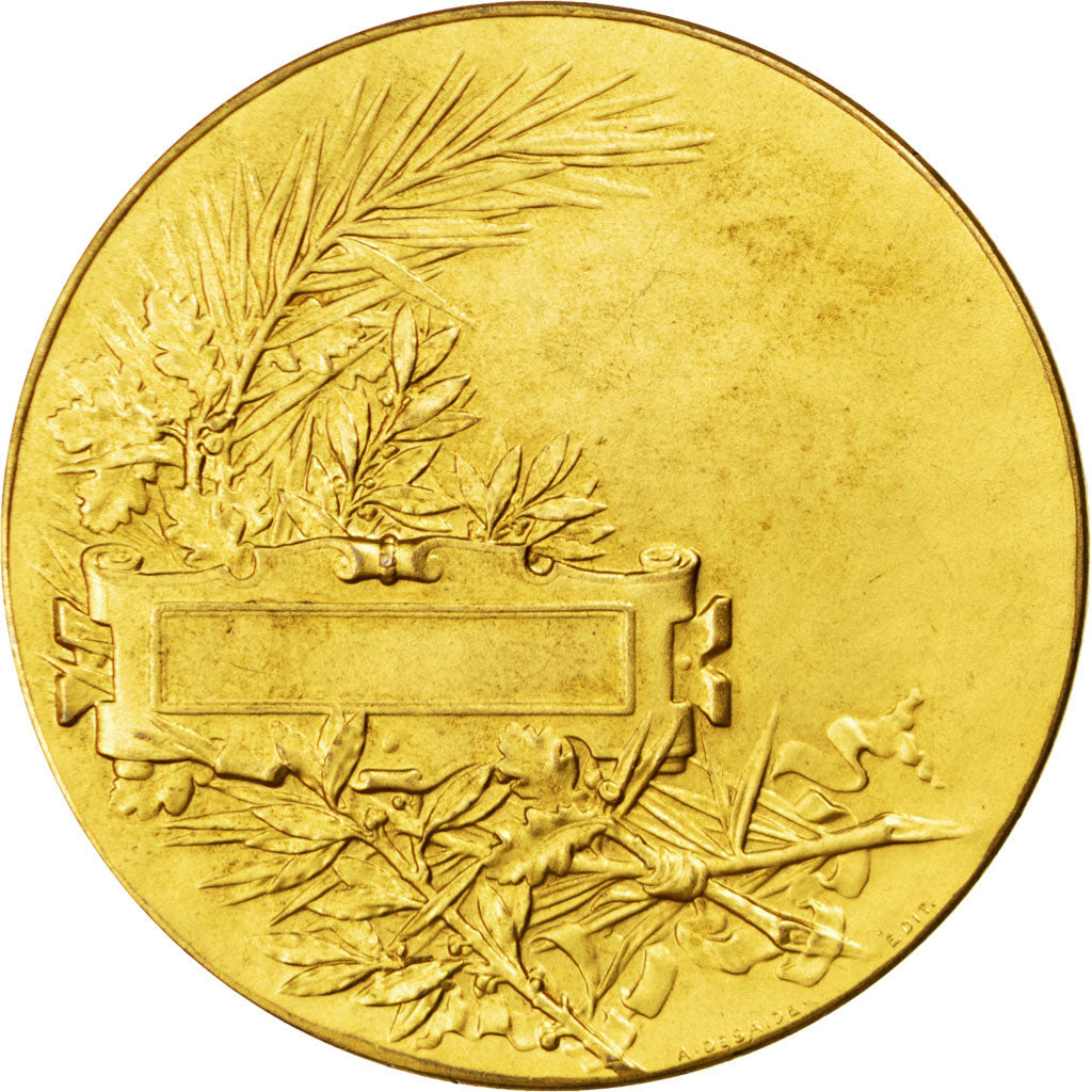 Frankreich, Medal, French Third Republic, Sports & leisure, Desaide, VZ, Bronze