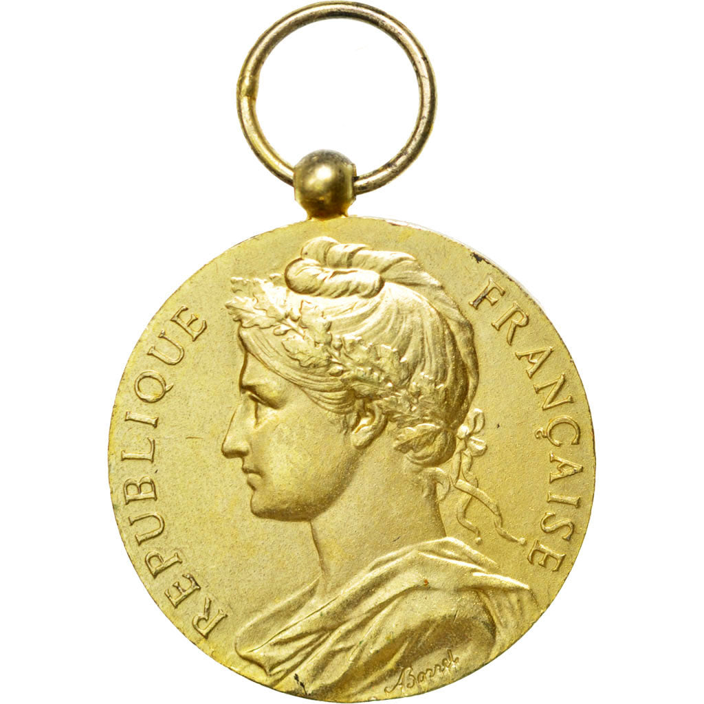 France, Medal, French Fifth Republic, Politics, Society, War, Borrel, SUP