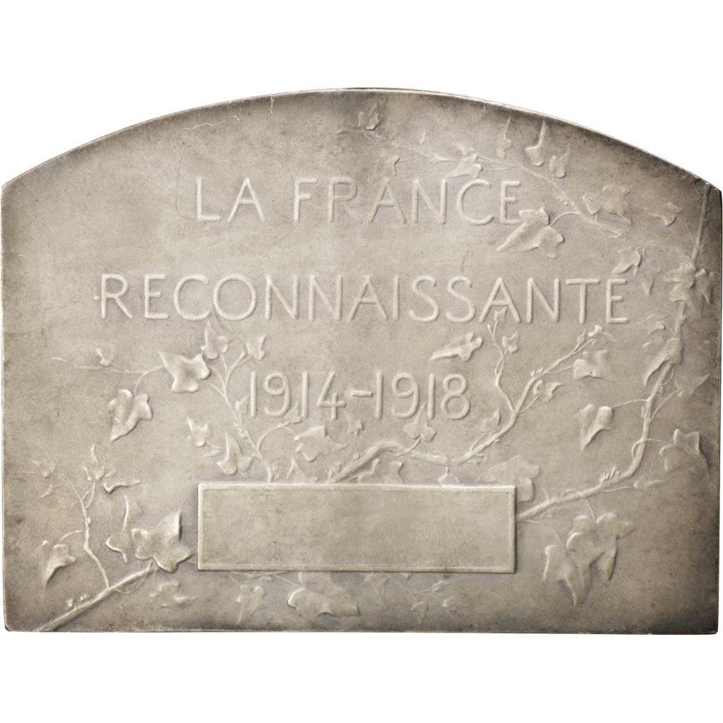 Frankreich, Medal, French Third Republic, Politics, Society, War, Stern, VZ