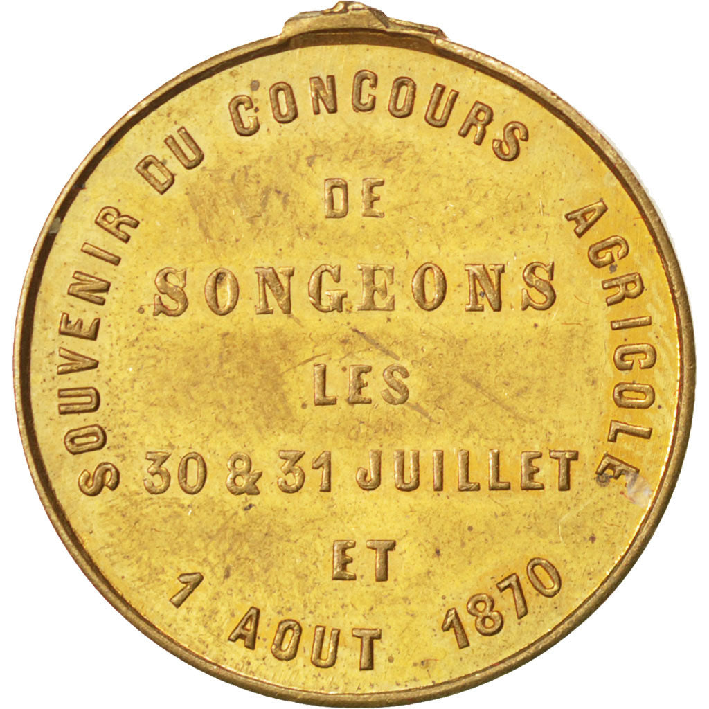 Francja, Medal, Drugie imperium francuskie, Polityka, społeczeństwo, wojna