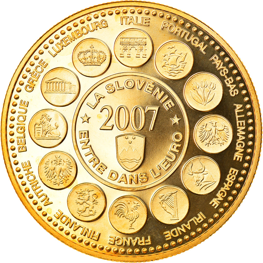 France, Medal, L'Europe des XXVII, La Slovénie entre dans l'Euro, Politics