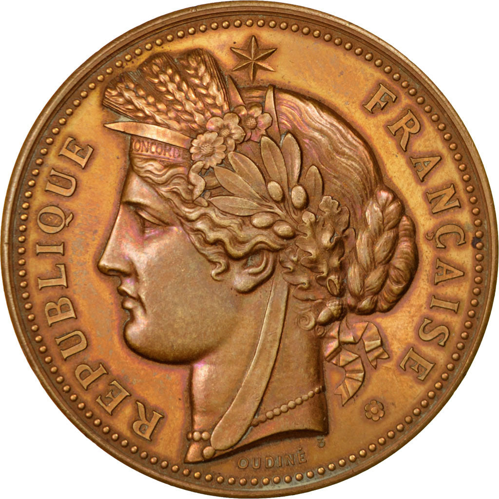 Frankreich, Medal, French Third Republic, Sports & leisure, Oudiné, VZ+, Bronze