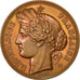 Frankreich, Medal, French Third Republic, Sports & leisure, Oudiné, VZ+, Bronze
