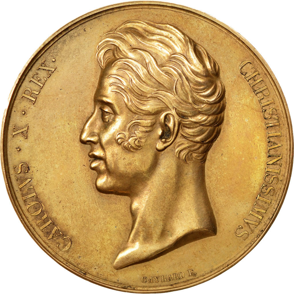 France, Medal, Charles X, Politics, Society, War, Gayrard, AU(55-58), Copper