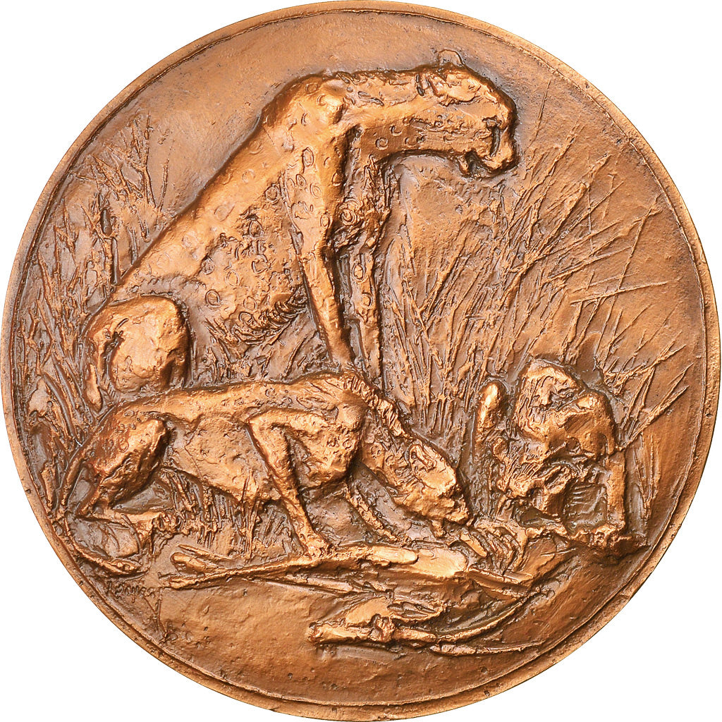 France, Médaille, Animaux, Le Guépard, Fauna, 1982, Boyer, SPL, Bronze