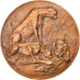 France, Médaille, Animaux, Le Guépard, Fauna, 1982, Boyer, SPL, Bronze