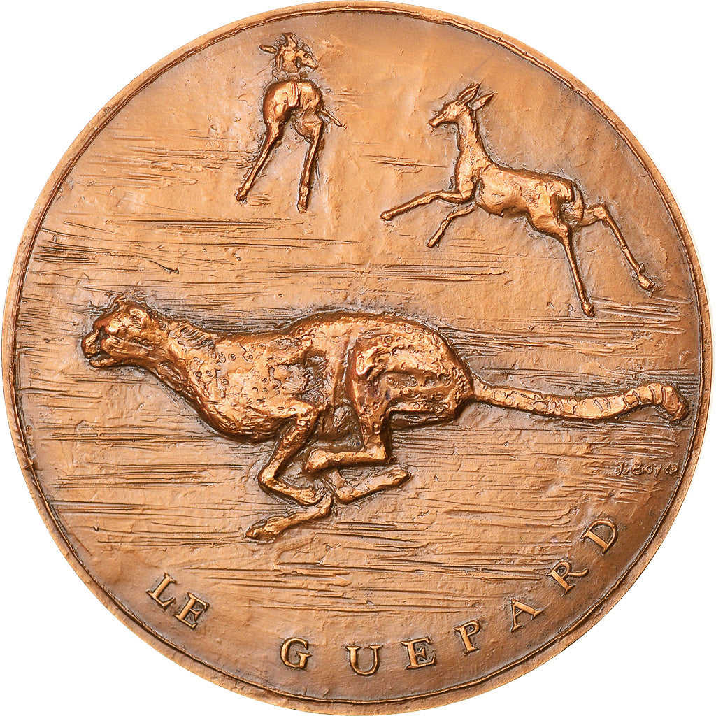 France, Médaille, Animaux, Le Guépard, Fauna, 1982, Boyer, SPL, Bronze