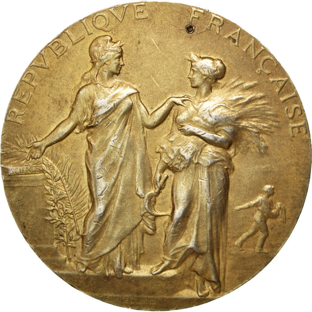 France, Medal, French Third Republic, Politics, Society, War, 1921, Dubois.A