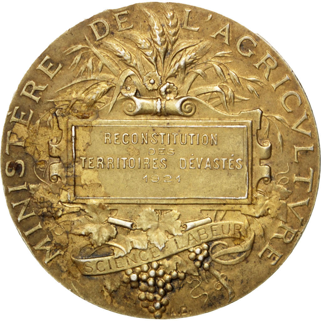 France, Medal, French Third Republic, Politics, Society, War, 1921, Dubois.A