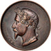 France, Medal, Second French Empire, Politics, Society, War, Desaide, TTB+