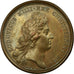 France, Medal, Louis XIV, Le Nouveau Pavé de Paris, 1669, Copper, Mauger
