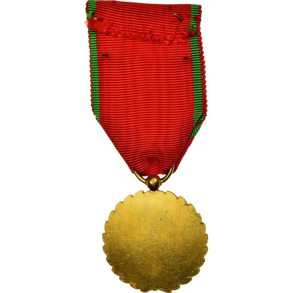 France, Mérite National Français, Medal, Uncirculated, Gilt Bronze, 34