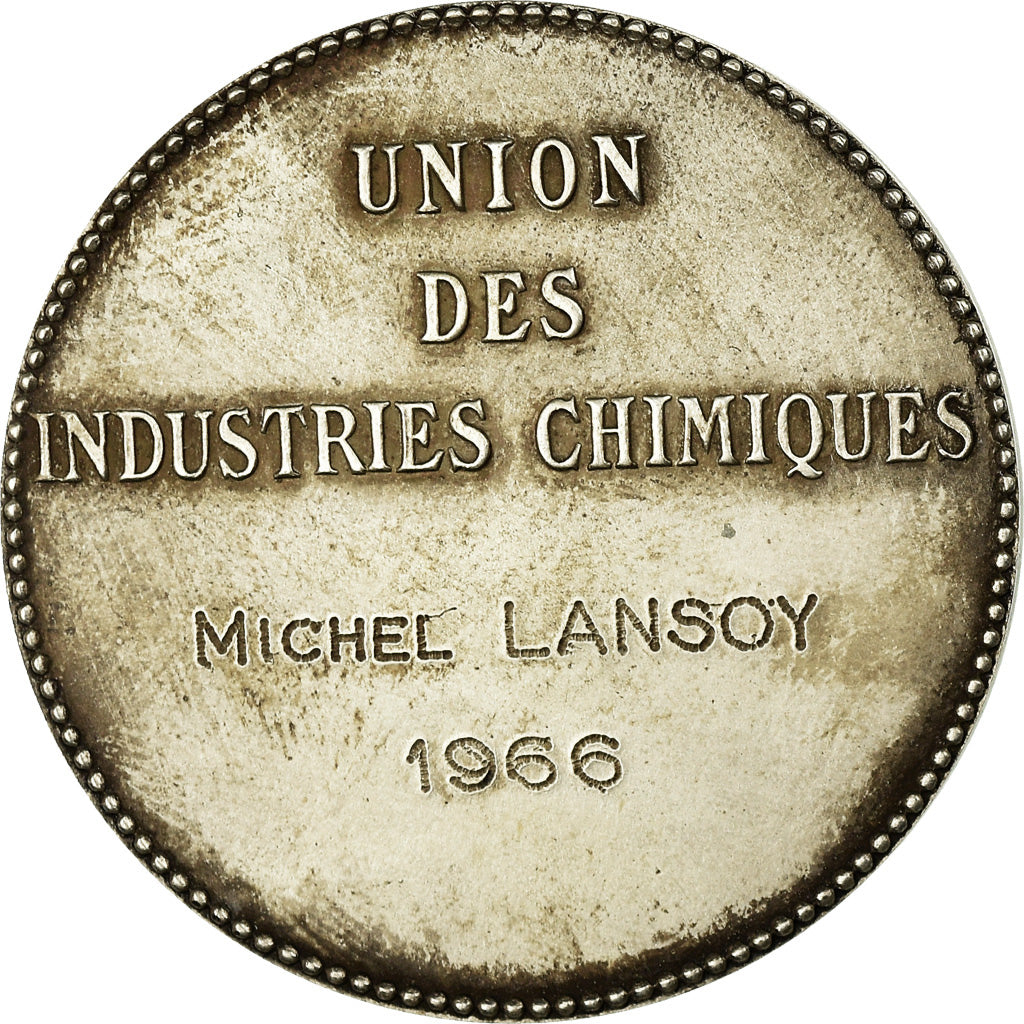 Francia, medaglia, Union des Industries Chimiques, 1966, BB+, Bronzo argentato