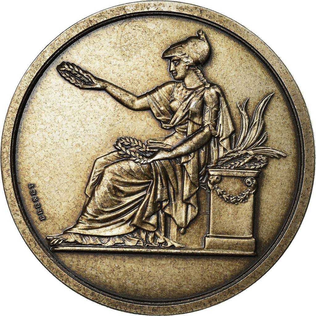 France, Medal, Société Industrielle du Nord de la France, 1989, Brenet
